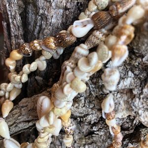 Shell necklaces ( three)